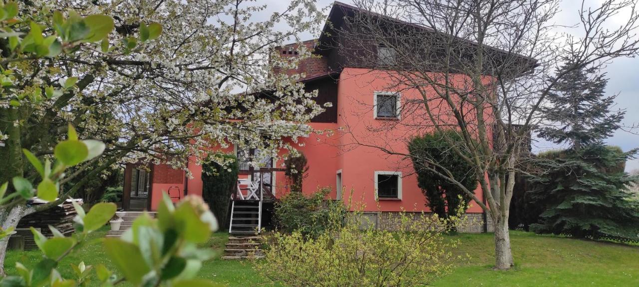 Za Gorami, Za Lasami Mysłakowice Exterior foto